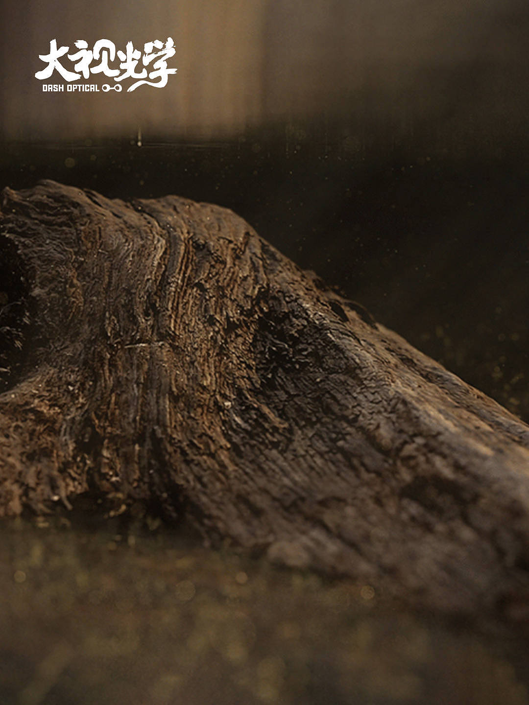 六千年沼泽橡木特别款 自然珍藏——LINDBERG 设计 - 3