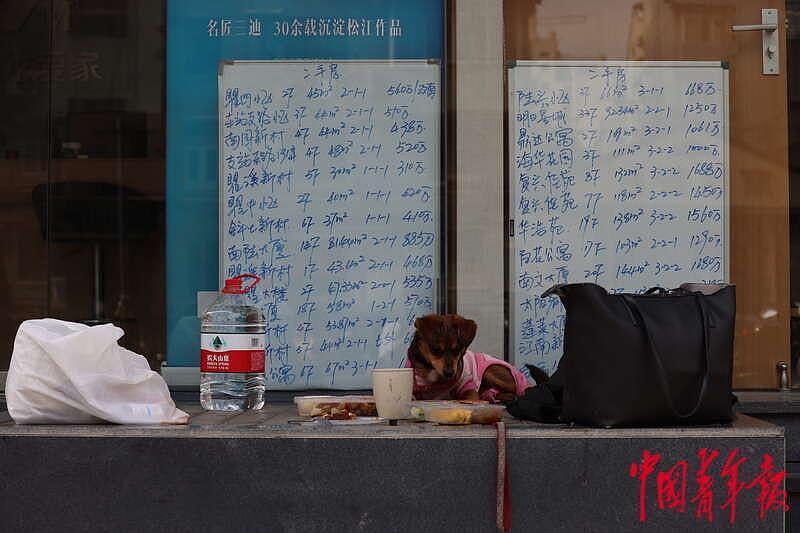对话上海“电话亭女士”：吃喝别人给，身上是名牌，活得简单自由 - 4