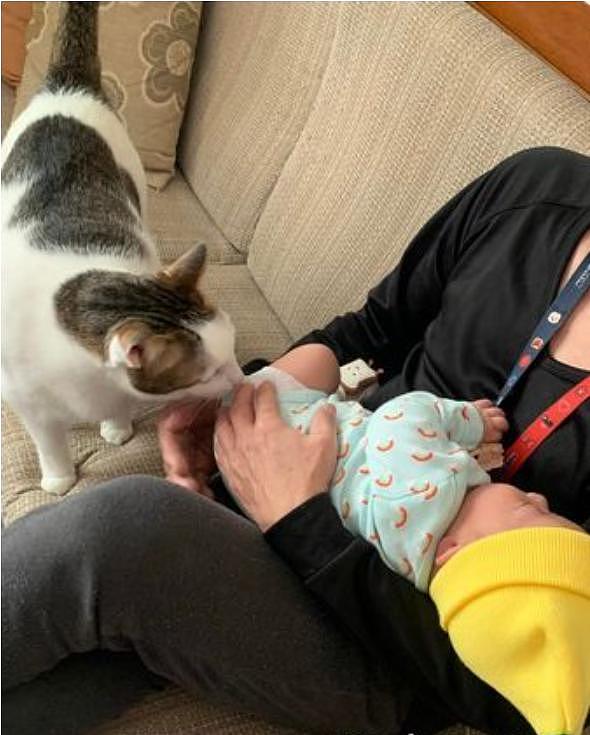 猫咪两个多月才第一次跟宝宝面对面，网友叹：小铲屎官被认证了 ~ - 5