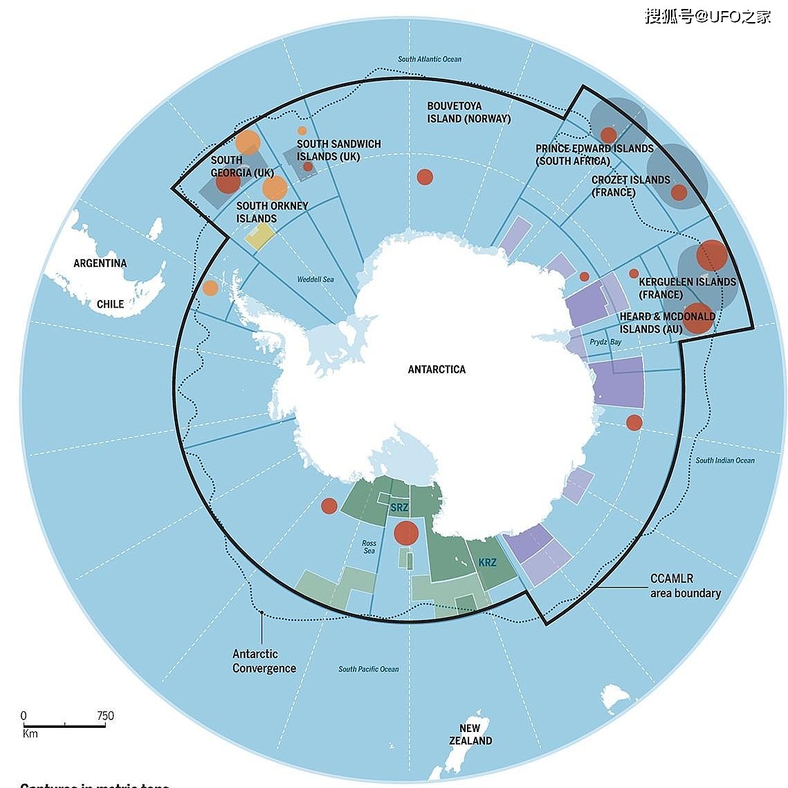 南极磷虾：5亿吨的海上“金矿”，中国将是最大“黑马”？ - 10
