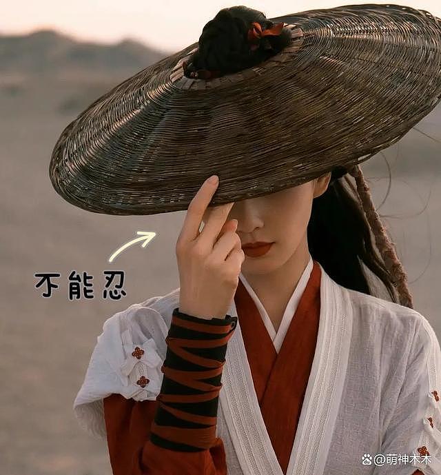 《一念关山》改戏惹争议，被指矮化女性角色，刘诗诗晒图回击 - 4