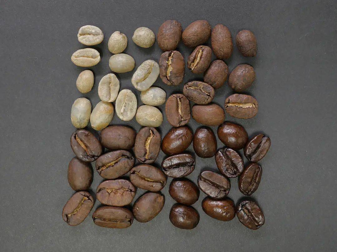 一个违背祖训的决定：生产咖啡的人，开始不种咖啡豆了 - 2