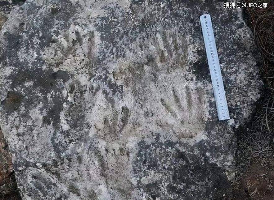 青藏高原曾发现22万年前的手印，印在石板上清晰可见，谁留下的？ - 4