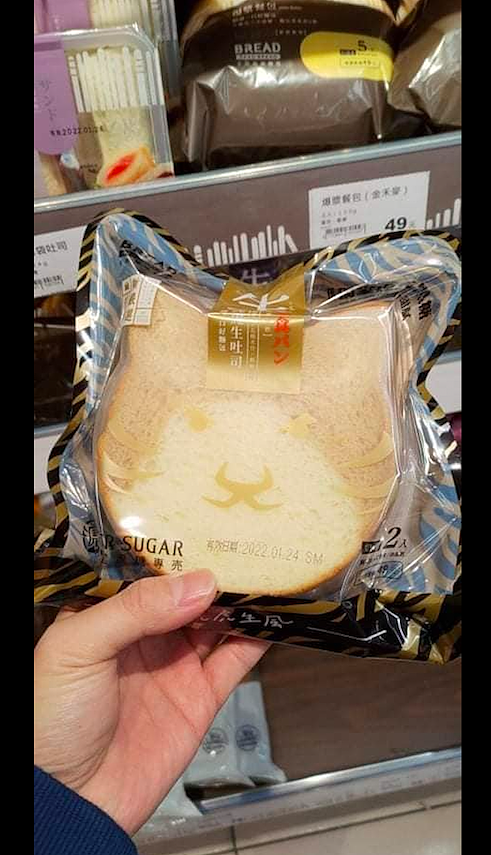 网友买了一个猫头形状的面包，还套在了猫咪的头上，猫：我要吃啊 - 1