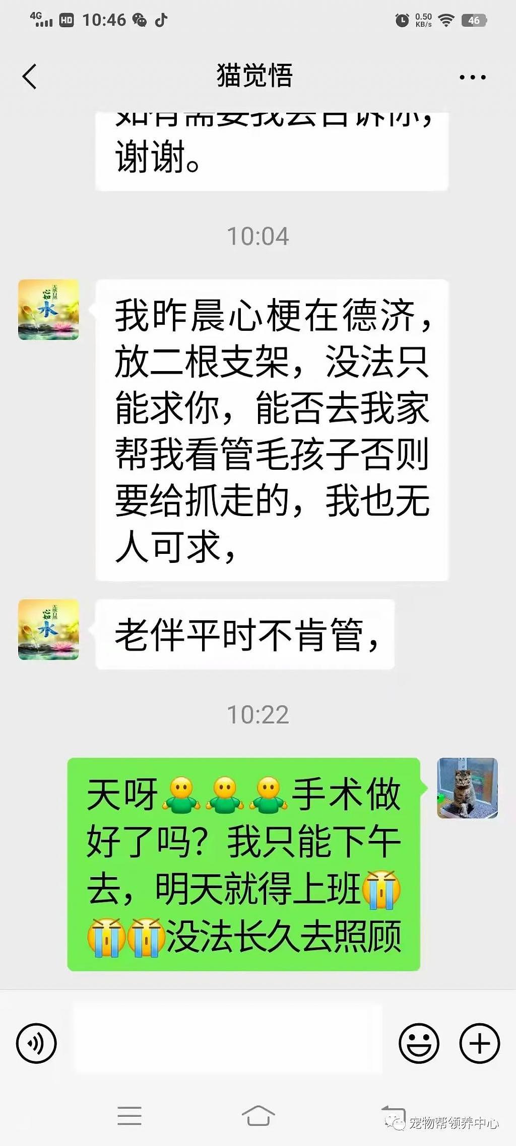 紧急扩散！上海 70 多岁阿姨突发心脏病，她救助的近 80 只猫狗急需帮助 . - 2
