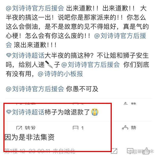 刘诗诗麻烦不断！官方后援会涉及非法集资，连夜删除微博被骂翻 - 10