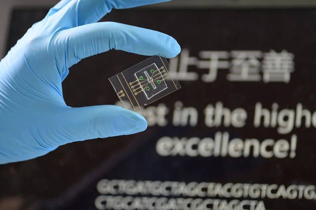 中国科学家把汉字存入DNA！DNA存储未来如何发展？ - 2