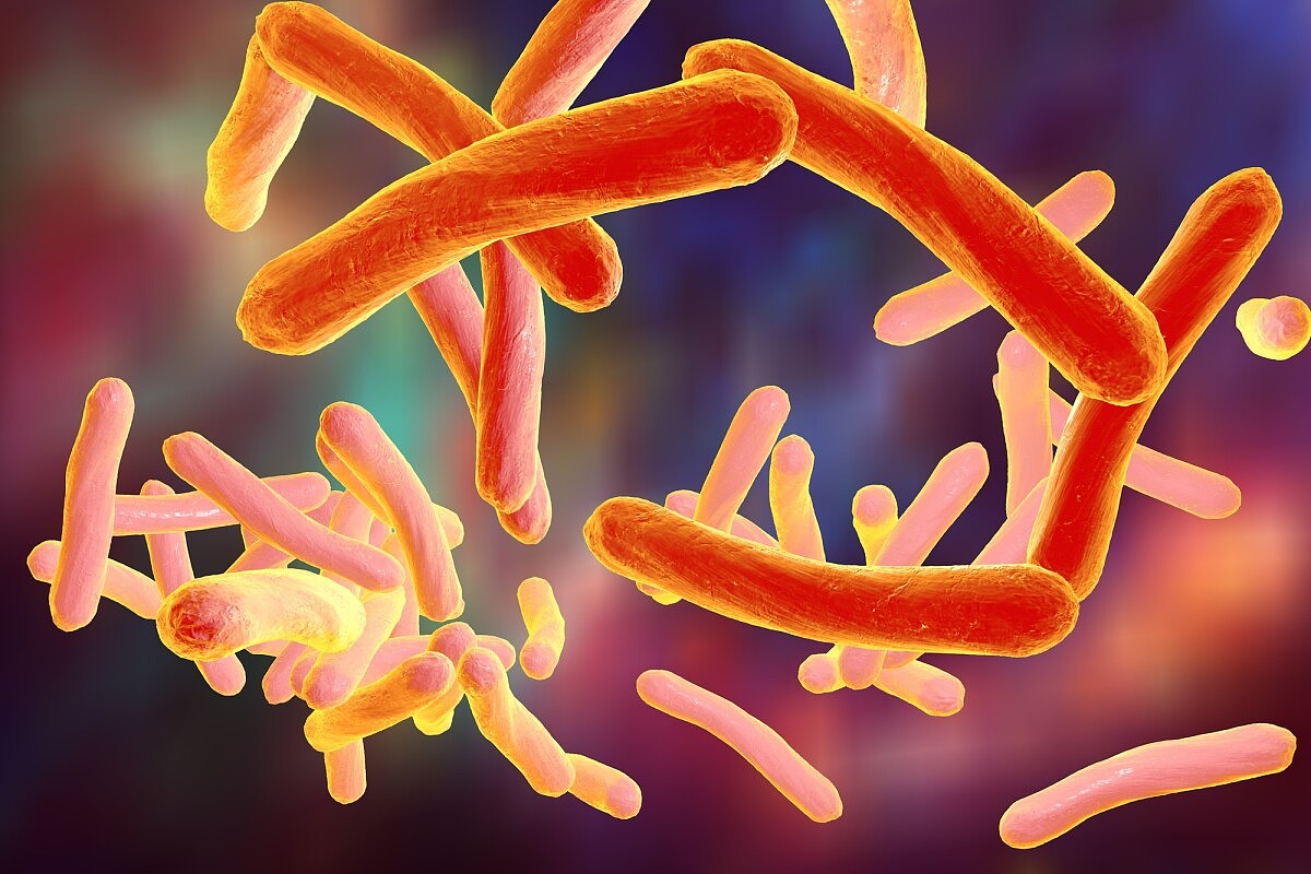 针对“抗药性”细菌可以阻止超级细菌的形成 - 1