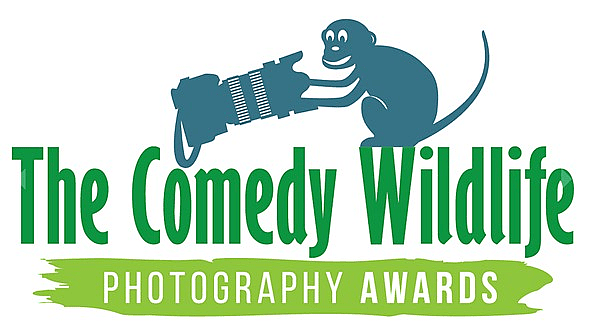 “哼！我让你拍了吗！” | 2021年搞笑野生动物摄影奖 - 19