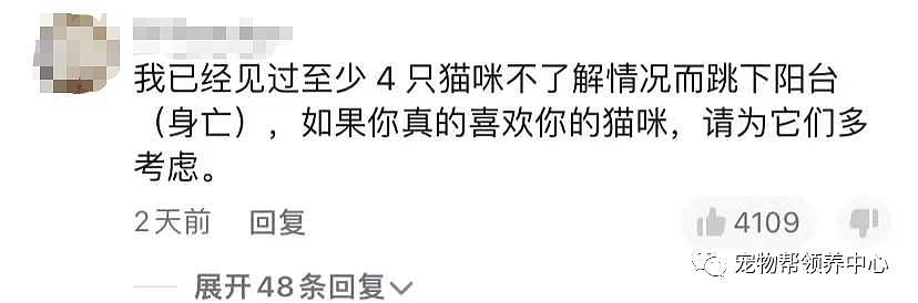 布偶猫险些坠楼，主人却在录视频赚流量，不能封窗为什么要养猫？ - 7