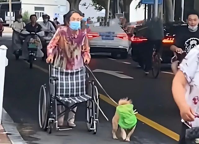 大妈扶着轮椅车遛狗，路人们表示不解：这狗咋戴着绿色头套？ - 2