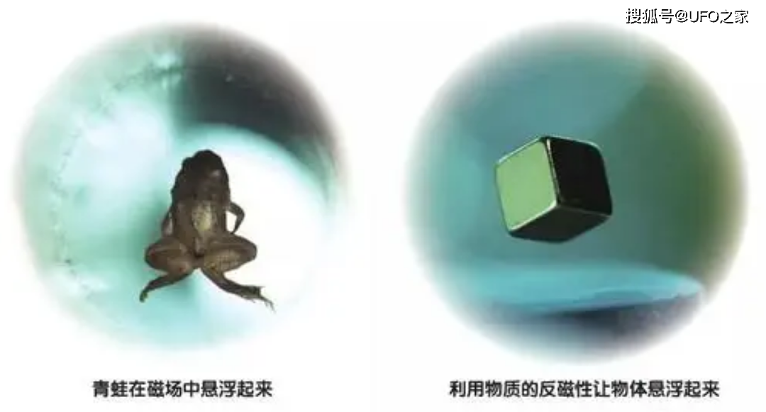 科学家用青蛙做实验，得到反重力蛙，那把人放进强磁场中会怎样？ - 7