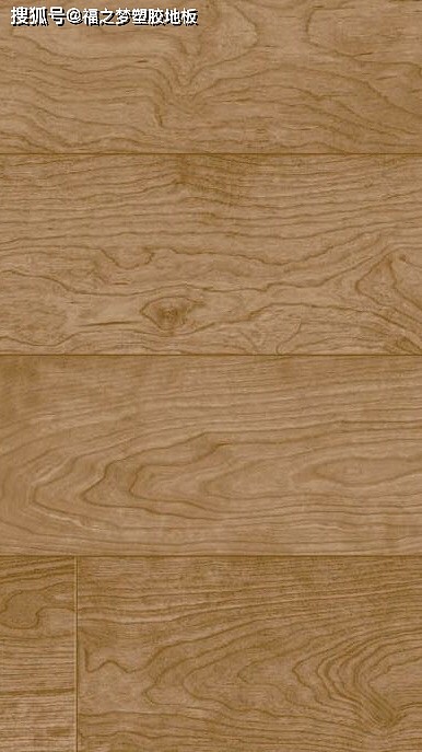 多层复合塑胶地板木纹龙系列-阿姆斯壮PVC地板 - 22