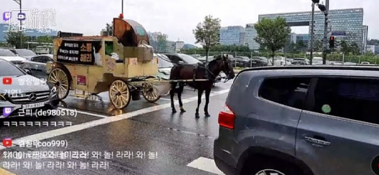 为了抗议《赛马娘》运营，韩国玩家真的拉来了一匹马游街 - 9