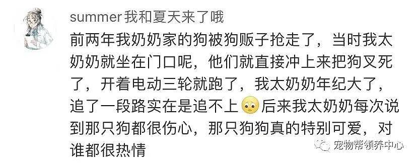 狗狗中毒后跑到派出所门口躲避，却仍没逃过偷狗贼，最后警察为它讨回公道 . - 10