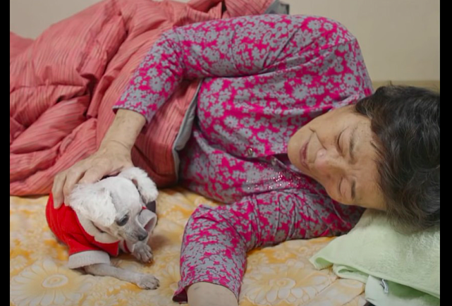 奶奶担心狗狗会被遗弃，生了重病不愿去医院，忍着剧痛在家陪它！ - 2