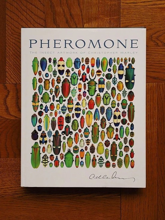 书籍 Pheromone / Via Yuthanan