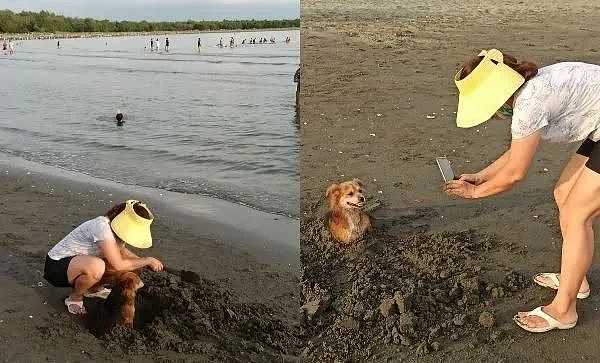 狗狗被埋沙里，表情超有戏，露狗头“心死望远方” - 3