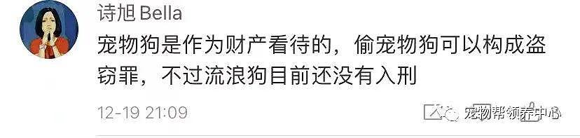 狗狗中毒后跑到派出所门口躲避，却仍没逃过偷狗贼，最后警察为它讨回公道 . - 25