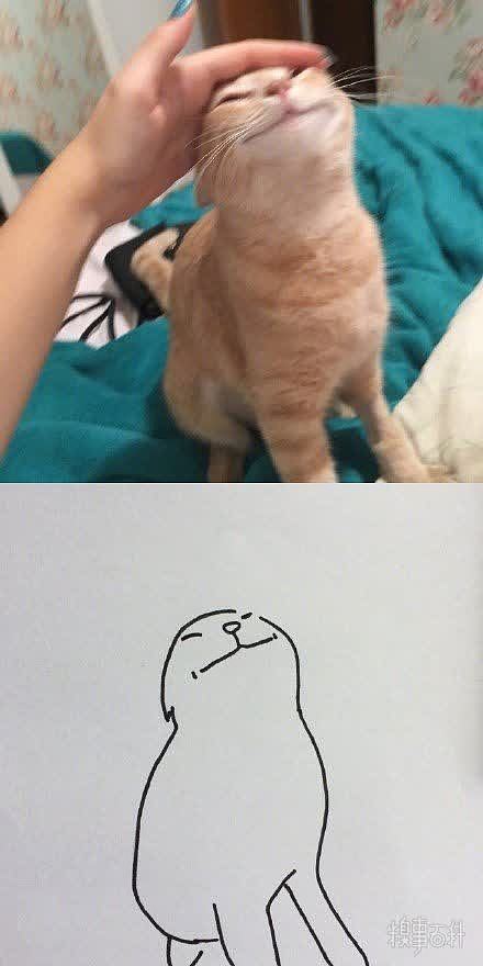 猫咪灵魂画师poo我