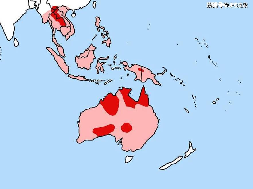 人兔之战持续150年，澳大利亚完败，100亿只兔子怎么可能吃得完？ - 7