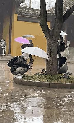 流浪猫伞下躲雨，路过大学生作出这一举动，全网都在搜索他… - 14