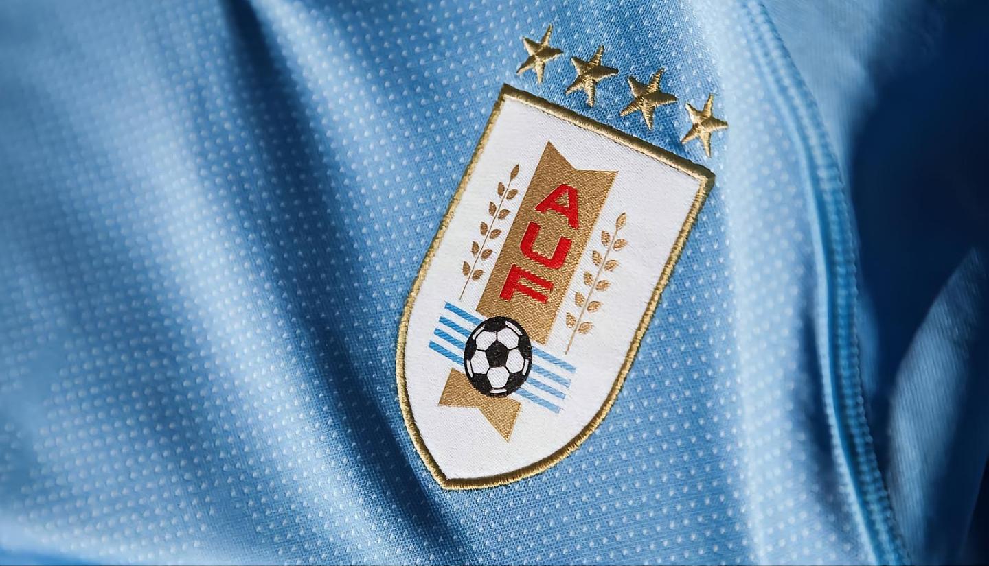 世界杯32强巡礼之乌拉圭：老炮们的最后一舞，新生代勇挑大梁 - 7