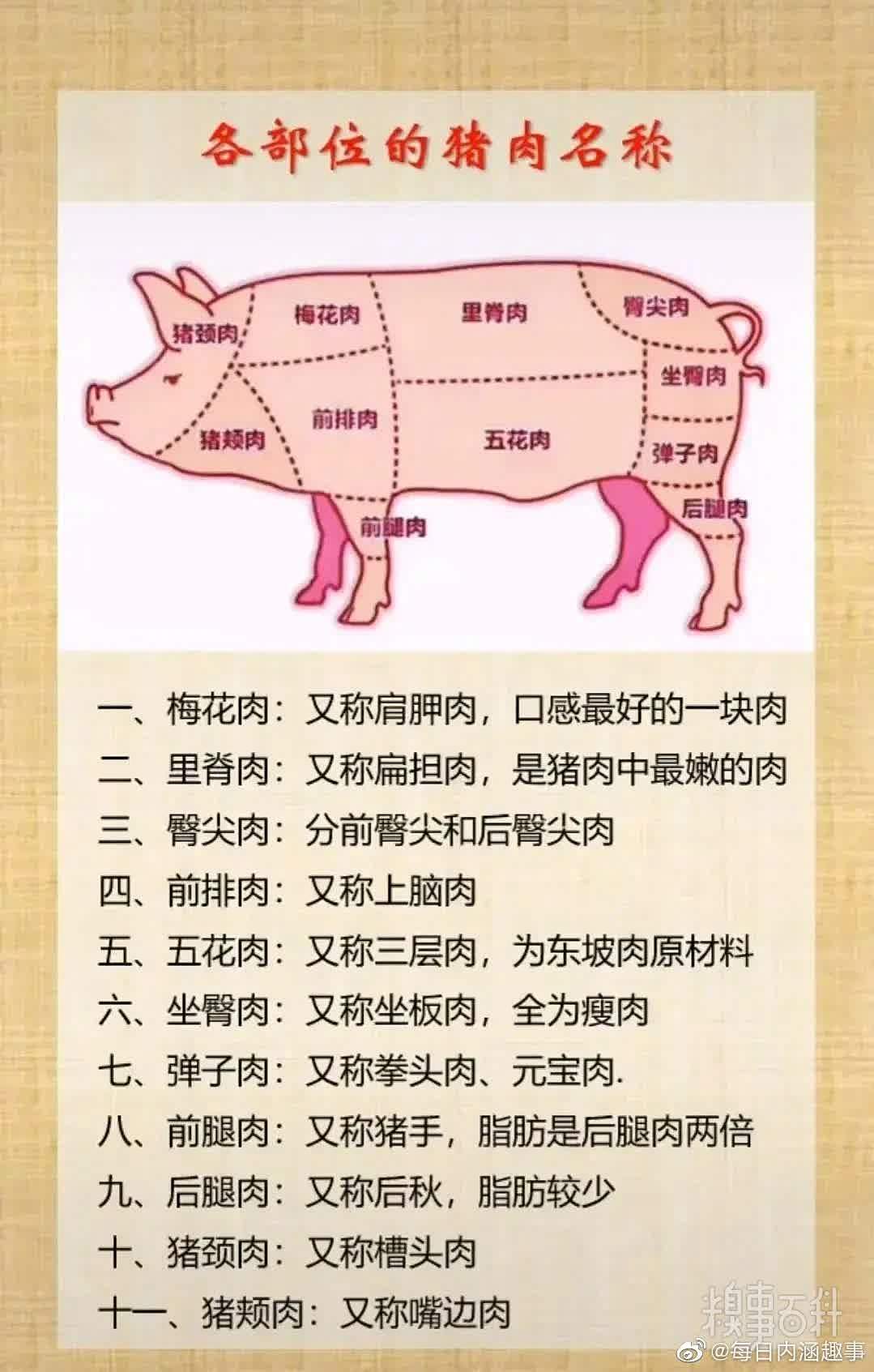 猪肉各部位的名称，猪
