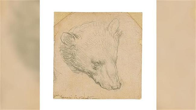 史上“最贵的小熊”，达·芬奇巴掌大的画作8000万元成交 - 1
