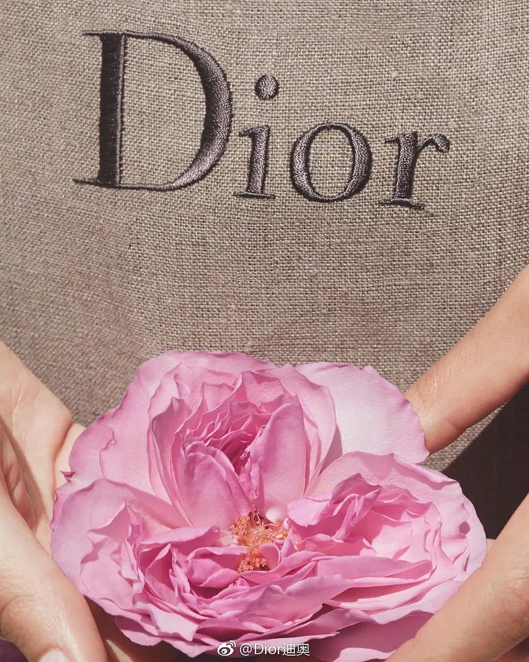 Dior《寻香之旅》，传奇经典是如何诞生的？ - 24