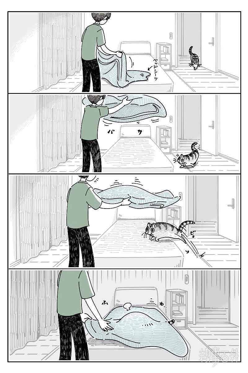当有猫的人铺床时