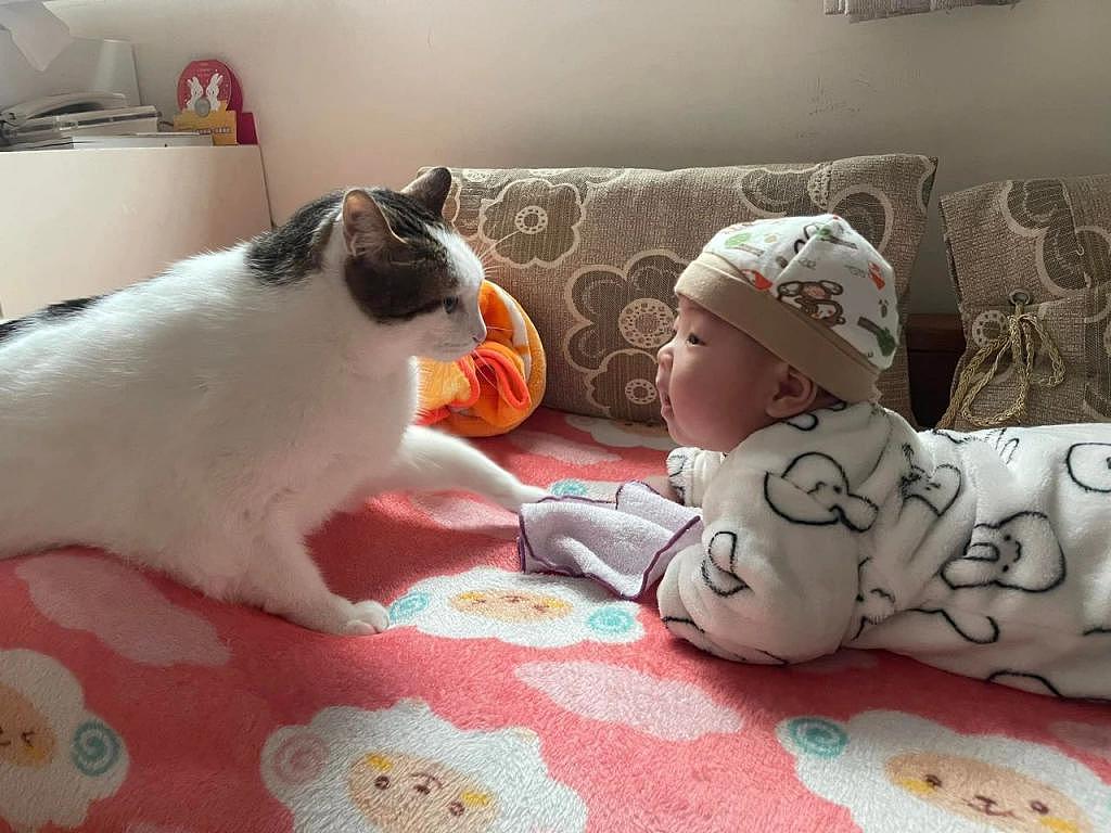 猫咪两个多月才第一次跟宝宝面对面，网友叹：小铲屎官被认证了 ~ - 2