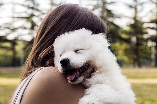 心理学：根据女生喜欢的小狗类型，可以判断她的恋爱对象 - 7