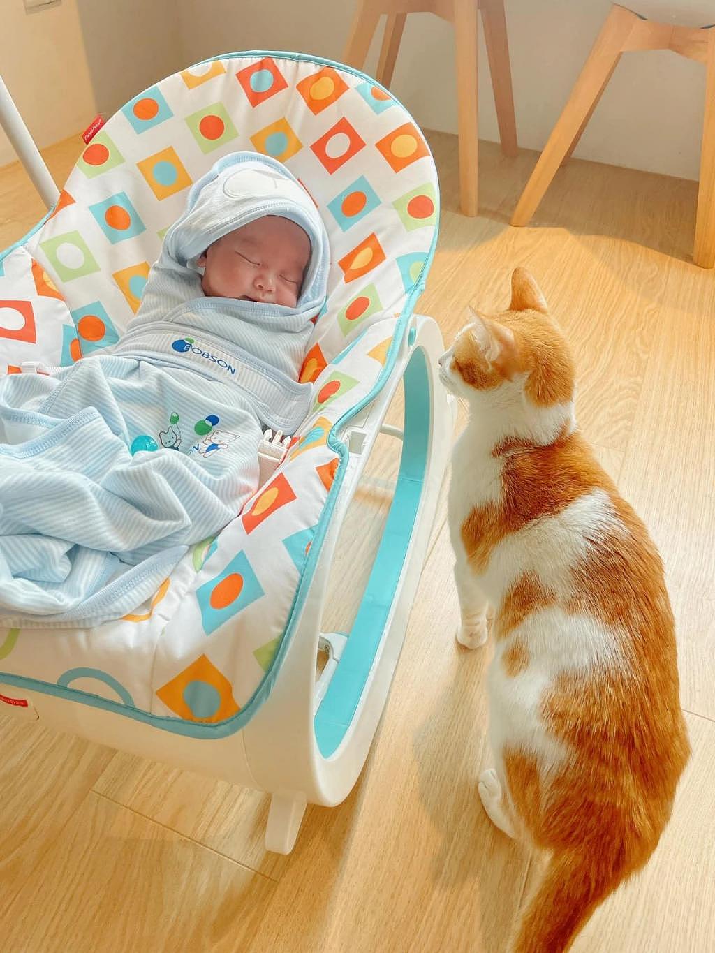 担心猫咪伤到宝宝，怀孕时就告诉它们要有弟弟了，如今接回家 . - 5
