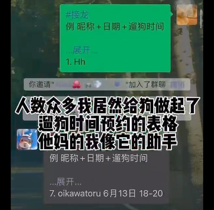 狗子总拆家，主人发帖求大学生帮忙遛狗，结果太热情，预约排了 20 天之后… - 6