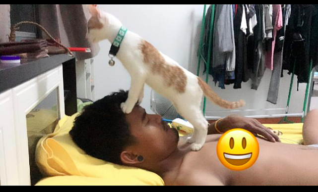 网友躺床上睡觉，猫咪直接蹬鼻子上脸了，猫：渴了吗？我来送水了 - 1
