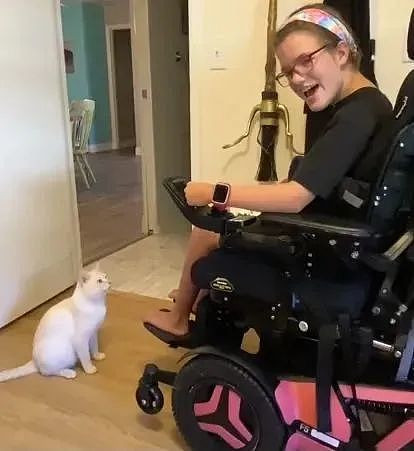 女孩坐电动轮椅去领养猫，却吓跑好多猫，唯独这只…… - 5