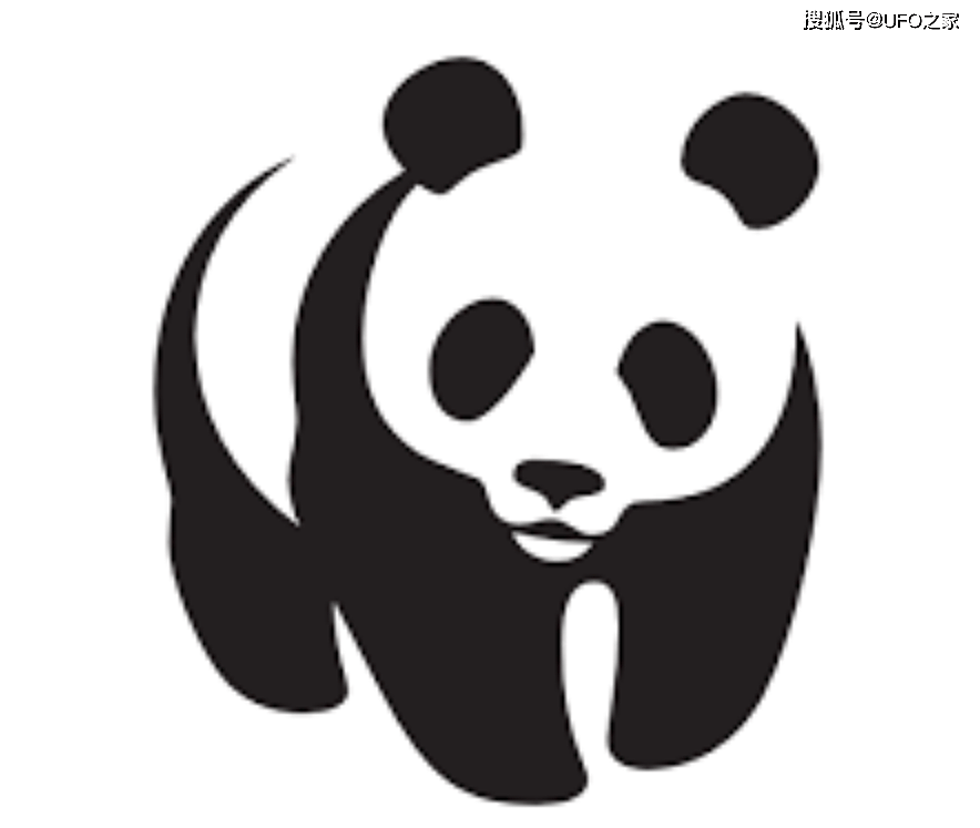 曾有个女人将活体大熊猫走私出中国，海关登记：携带哈巴狗一只 - 5