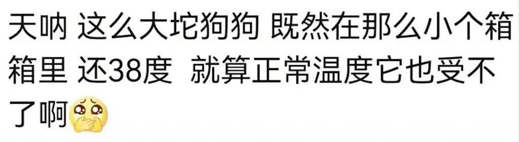 又一只金毛因洗澡死在宠物店，店家逃卸责任的理由太无耻了！ - 16