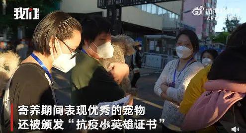 隔离结束，240 只宠物收获“抗疫小英雄”证书回家了，大北京真的太暖了…… - 10