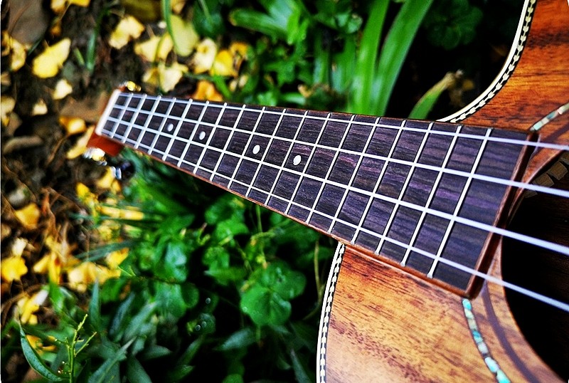 成都金典吉他琴行Leony工厂联合UK龙头企业推出新品尤克里里 - 8
