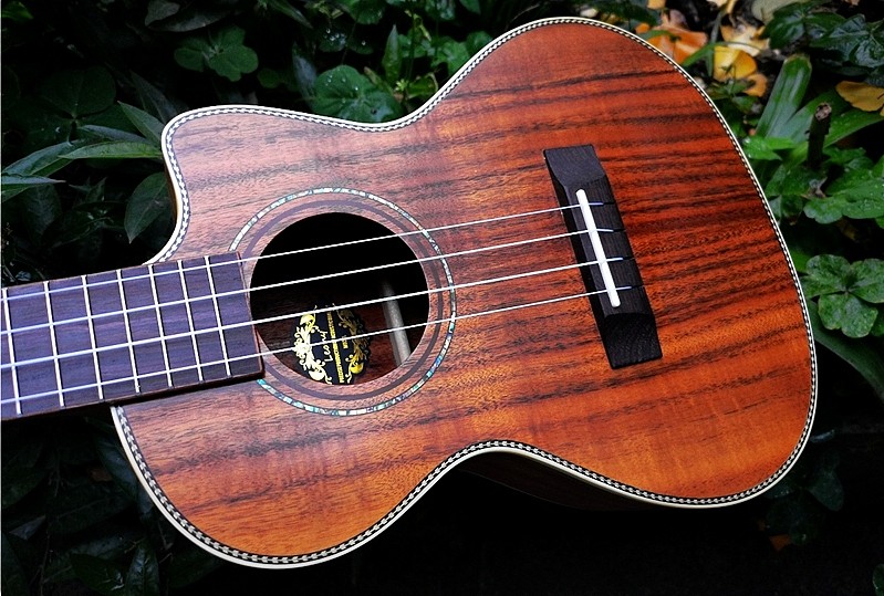 成都金典吉他琴行Leony工厂联合UK龙头企业推出新品尤克里里 - 9