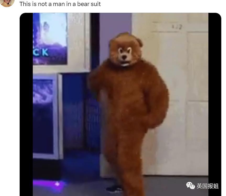 中国动物园的一头熊一夜之间火爆全球！国外媒体网友陷入疯狂：“它到底是熊还是人？！” - 28