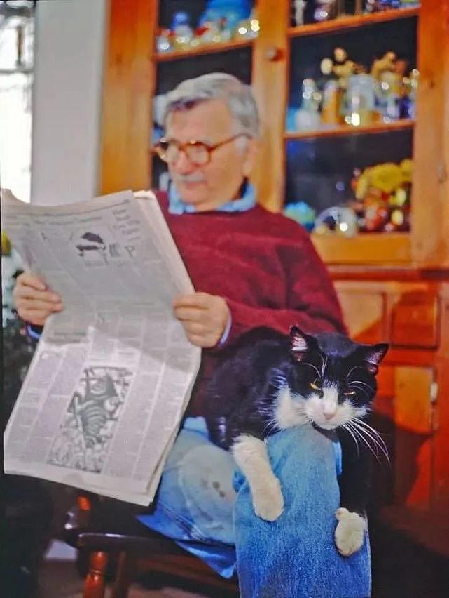 猫趣 | 摄影师为兴趣辞职，坚持拍猫70年，被誉为猫片教父 - 14