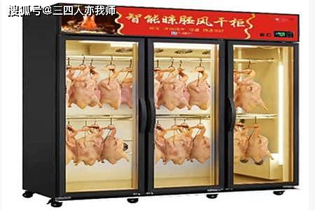 烤鸭晾胚风干柜，商家如何选择合适的款式？ - 4