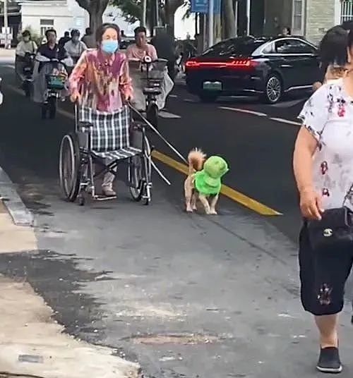 大妈扶着轮椅车遛狗，路人们表示不解：这狗咋戴着绿色头套？ - 1