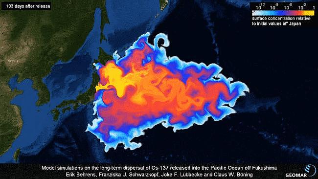 日本千吨死鱼涌向海岸，外媒怒骂核废水污染？ - 22