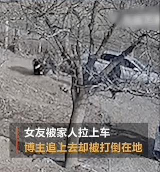 年度最离谱的新闻，终于等来后续了 - 3