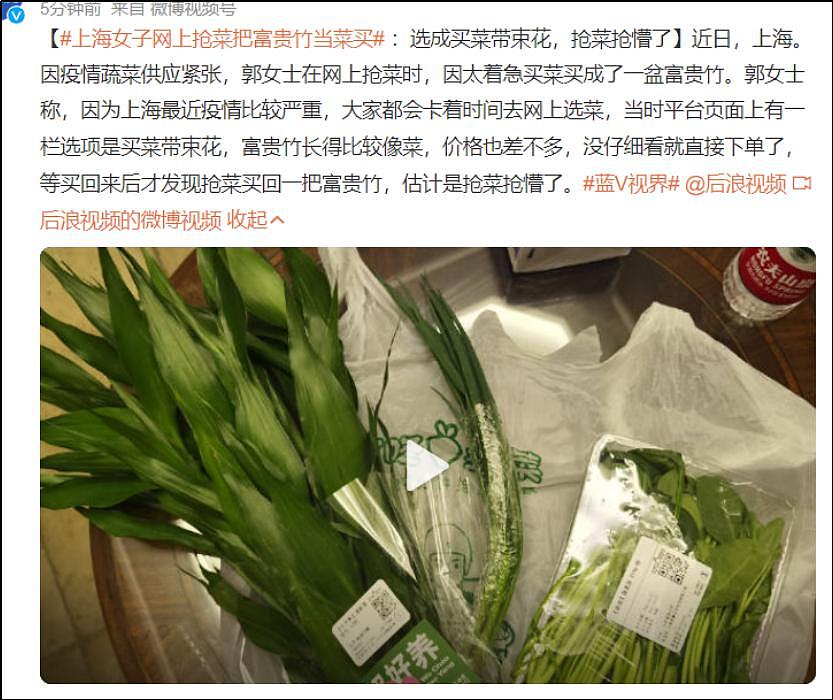 上海青比爱马仕还难抢：被上海居民抢菜的段子笑死 - 31