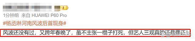 杨丞琳演唱会风波升级！被剧方宣传除名，录制跨年晚会遭抵制 - 20